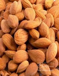 بادام تلخ مامایی با خواص شناخته شده